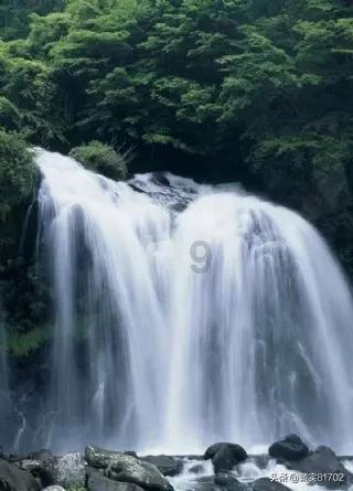 小红帽的冒险之旅